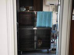 -心仪动物医院·牙专科·肿瘤·心脏科(西客站院)