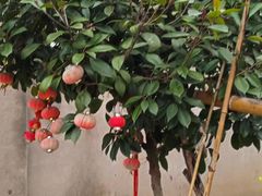 -江苏第二师范学院(草场门校区)