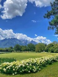 -太古映画婚纱摄影(天河店)