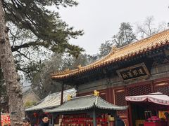 -潭柘寺景区