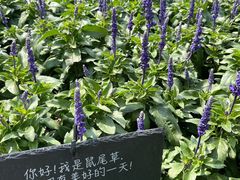 -比斯特苏州购物村精品奥特莱斯