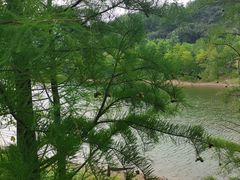 -达蓬山旅游度假区
