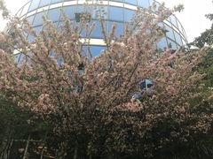 -蒙小妹骨汤饭.米线(新光路店)