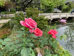 -雅达·阳羡溪山小镇中心