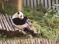 -黔灵山公园