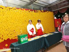 -上膳源有机农场