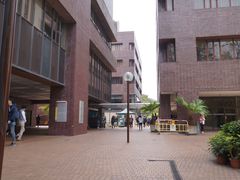 -香港大学