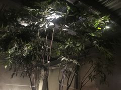-ZooYoo佐佑咖啡(鼓楼店)