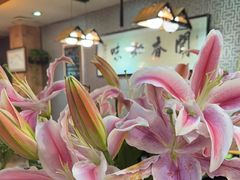 -丫丫汤膳打边炉(宏府408坊店)