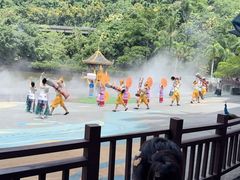 -西双版纳原始森林公园