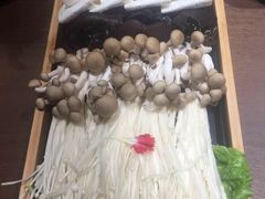 -快乐小羊·内蒙牛羊肉火锅(流花中心店)