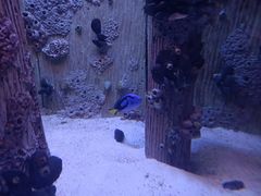 -海合安武汉极地海洋公园