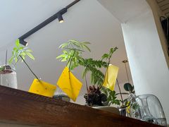 -沏点Trattoria意大利餐厅(新街口店)