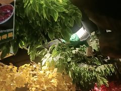 -城墙拐拐火锅(三峡广场黑金冠店)