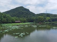 -八卦田遗址公园