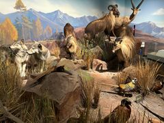 -陕西自然博物馆