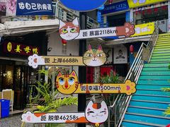 -猫咪博物馆(顶澳仔猫街店)