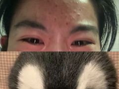 -复旦大学附属华山医院(总院)