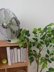 -星豆豆儿童摄影(南郊太白南路店)