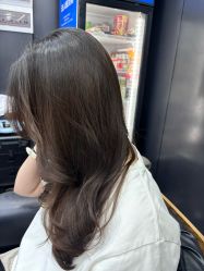-藤野造型