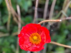 -云南省昆明市正义路步行街(三市街)