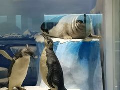 -国家自然博物馆