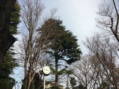 -井之头恩赐公园