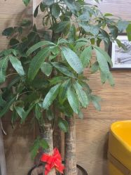 -東方名剪·ETSTYLE