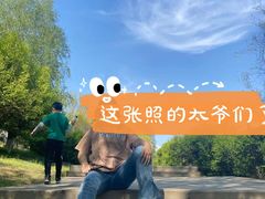 -蒲河岛湿地公园