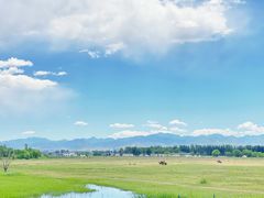 -野鸭湖国家湿地公园