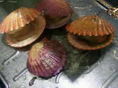 -比亚森自助烤肉料理(裕华店)