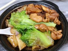 牛腩啫啫粉-珍珍小食店(西华路店)