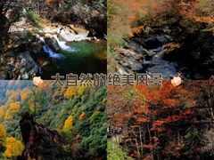 -光雾山旅游景区