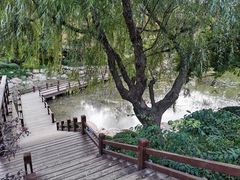 -大连植物园
