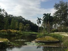 -云溪植物园
