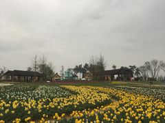 -保利石象湖景区