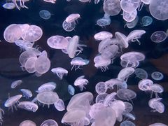 -欢乐海岸海洋奇梦馆