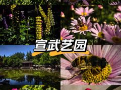 -宣武艺园