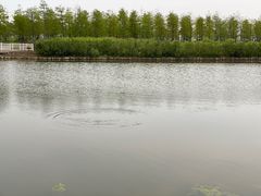 -春花秋色城市公园