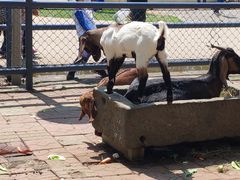 -长白岛森林公园