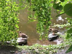 -北海道厅旧本厅舍(旧本庁舎)