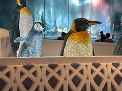 -帝企鹅自助餐厅•儿童岛•真企鹅(长隆企鹅酒店)