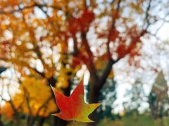 -长辛店二七公园