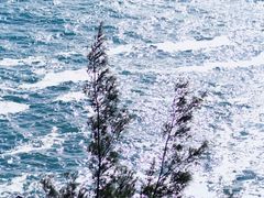 -广东惠东海龟国家级自然保护区