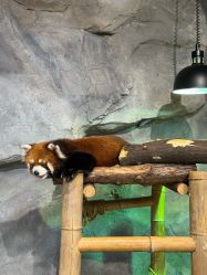 -Zoolung Zoolung动物主题公园(海信广场店)