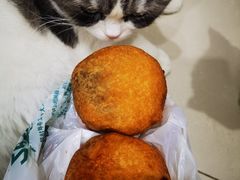 -老回回饺子馆(海洋馆店)