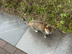 -重庆彩云湖湿地公园
