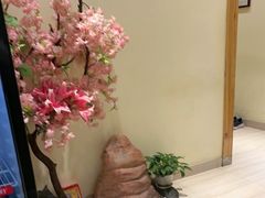 -万鱼亭 日本料理(无锡香山名园店)