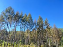 -萨尔浒风景区