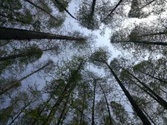 -南京金牛湖风景区